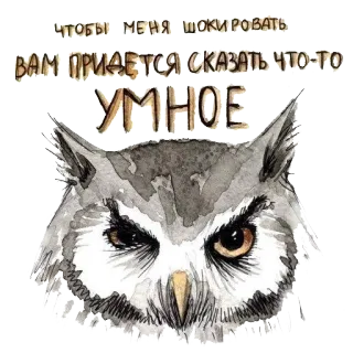 🐣 f445e8c6 ЧТОБЫ МЕНЯ ШОКИРОВАТЬ ВАМ ПРИДЕТСЯ СКАЗАТЬ ЧТО-ТО УМНОЕ búho, animal, pájaro, inteligente, listo, ruso, texto telegram sticker