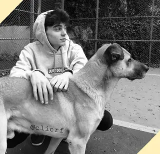 〽️ a7765c50 @clicrf osoba, pies, portret, skala szarości, bluza z kapturem, zwierzę telegram sticker