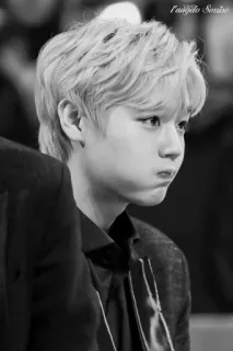 🎶 0f2d7456 menino, retrato, pessoa, monocromático, preto e branco whatsapp sticker