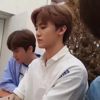 ☁️ 031a077e telegram sticker