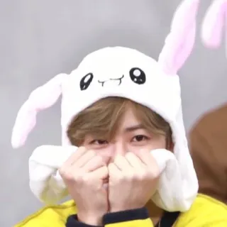 ☁️ 7480aa61 คน, หมวก, กระต่าย, น่ารัก, ภาพเหมือน, เยาวชน telegram sticker