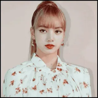 🐇 04cc1159 Lisa kpop, sängerin, idol, porträt, frau, promi whatsapp sticker
