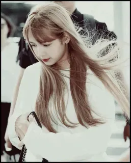 🦋 0fc99dd0 whatsapp sticker