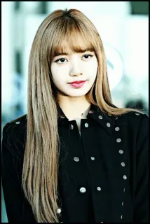 🐿 216a645a Lisa Lisa, Kpop, Sängerin, Frau, Promi, Haare, Mode whatsapp sticker