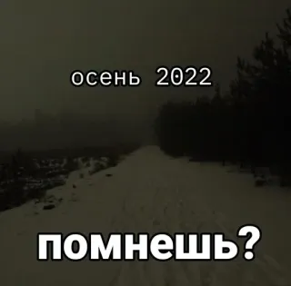 🌟 036b975f осень 2022
помнешь? herfst, weer, bomen, natuur, herinnering telegram sticker
