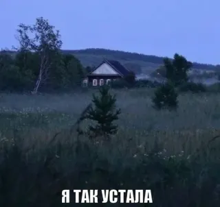 🌟 05fa2ba9 Я ТАК УСТАЛА huis, platteland, natuur, mist, russisch telegram sticker