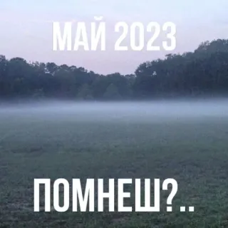 🌟 0d748cc4 МАЙ 2023
ПОМНЕШ? Mei, 2023, herinnering, veld, mist, natuur telegram sticker