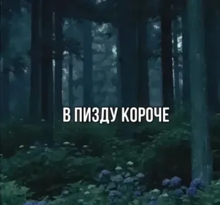 🌟 5156ba65 В ПИЗДУ КОРОЧЕ bos, aanstootgevend, russisch, tekst telegram sticker