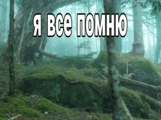 🌟 60052a20 Я ВСЕ ПОМНЮ bos, mos, onthouden, russisch, tekst, natuur telegram sticker