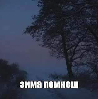 🌟 a195346c зима помнеш winter, sneeuw, bomen, natuur, koud telegram sticker