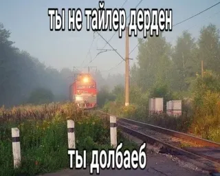 Больше стиков тут: @stikery4 telegram stickers
