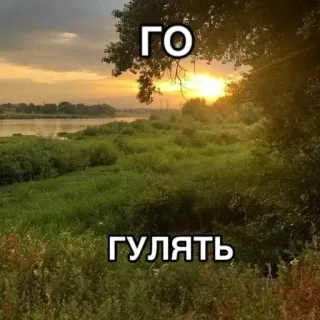 🌟 c9c269c5 ГО
ГУЛЯТЬ natuur, buiten, wandeling, russisch, gaan, wandelen telegram sticker