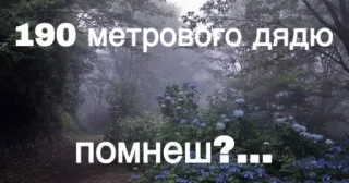 🌟 d47f3827 190 метрового дядю помнеш?... telegram sticker