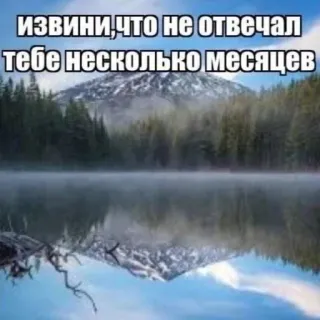 🌟 dd51c567 ИЗВИНИ,ЧТО НЕ ОТВЕЧАЛ ТЕБЕ НЕСКОЛЬКО МЕСЯЦЕВ berg, meer, reflectie, sorry, maanden, sorry, natuur, landschap telegram sticker