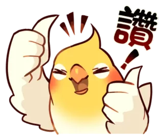 👍 4e59242c 讚 นก, ยกนิ้วให้, นกค็อกกาเทล, อนุมัติ, น่ารัก, สัตว์, เชิงบวก telegram sticker