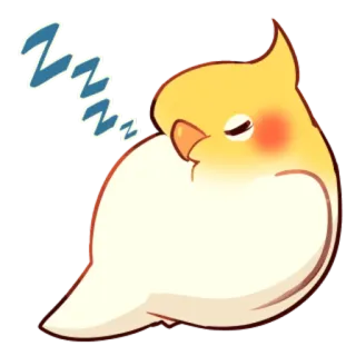 💤 4ee7ef59 นก, ง่วง, น่ารัก, ค็อกคาเทล, นกหลับ, สัตว์, การ์ตูน telegram sticker