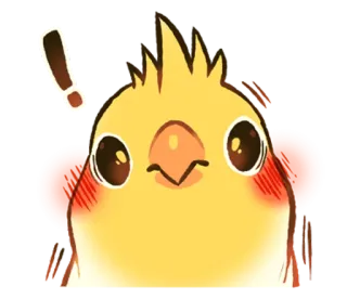 😋 53d4ebeb นกค็อกคาเทล, นก, น่ารัก, สัตว์, อิโมจิ, เตือน telegram sticker