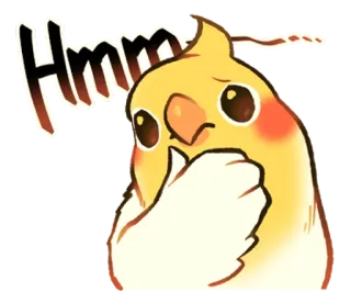 🤔 54642f8a Hmm นก, ค็อกกาเทล, คิด, หืม, น่ารัก, สัตว์, สับสน telegram sticker