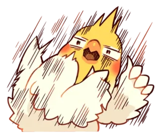 😱 65c526e9 นกค็อกกาเทล, นก, ตกใจ, การ์ตูน, สัตว์, สติกเกอร์ telegram sticker