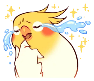😂 6aff7132 นกค็อกคาเทล, นก, ร้องไห้, เศร้า, น้ำตา, สีเหลือง, สัตว์, น่ารัก telegram sticker