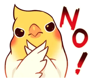 😠 814aaf05 NO! ค็อกกาเทล, นก, ไม่, ประท้วง, คัดค้าน, น่ารัก telegram sticker