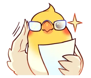 😎 c02be390 นกค็อกกาเทล, นก, แว่นตา, สัตว์, คาวาอิ, น่ารัก, ฉลาด, ครู telegram sticker