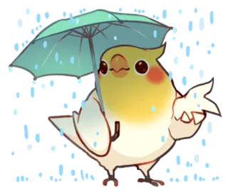 😨 c0ae8231 นก, ค็อกกาเทล, ร่ม, ฝน, น่ารัก, สัตว์ telegram sticker