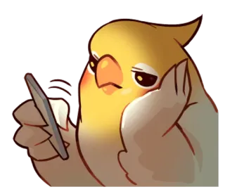 😞 daee1188 นก, นกหงส์หยก, โทรศัพท์, เบื่อ, สัตว์, น่ารัก telegram sticker