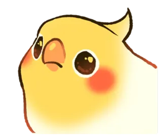 😕 f4b41ac7 นกค็อกคาเทล, นก, สัตว์เลี้ยง, น่ารัก, สัตว์, สีเหลือง telegram sticker