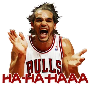 😂 c70db2ed HA-HA-HAAAA 篮球, 体育, 芝加哥公牛, NBA, 搞笑, 梗 whatsapp sticker