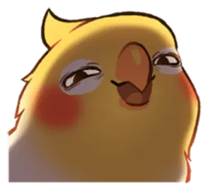 😈 53b28421 valkparkiet, vogel, zelfgenoegzaam, schattig, dier, huisdier telegram sticker