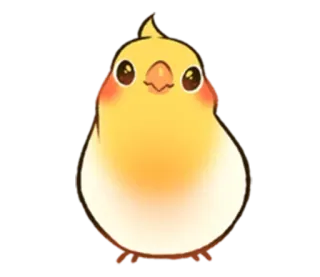 😌 70e6678b vogel, schattig, dier, geel, kawaii, parkiet telegram sticker