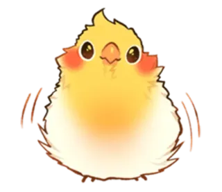 😁 99912fb9 vogel, schattig, geel, fluffy, dier, valkparkiet telegram sticker