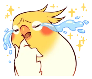 😪 d63c8a51 valkparkiet, vogel, huilen, verdrietig, tranen, emotioneel telegram sticker