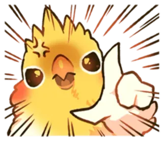 😤 f6942d12 valkparkiet, vogel, duim omhoog, schattig, positief, dier telegram sticker