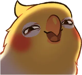 😏 765dec55 valkparkiet, vogel, papegaai, dier, huisdier, schattig, zelfgenoegzaam telegram sticker