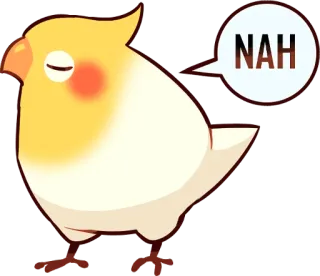 😒 7a88cb4b NAH vogel, valkparkiet, schattig, nee, nah, dier, sticker telegram sticker