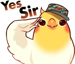 👍 f7a326f0 Yes Sir papegaai, vogel, saluut, hoed, ja meneer, dier telegram sticker