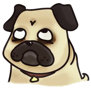🙄 37034af1 犬, パグ, 動物, 可愛い, ペット telegram sticker
