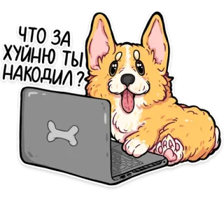 ❓ 369d309f ЧТО ЗА ХУИННЮ ТЫ НАКОДИЛ? corgi, dog, computer, laptop, sticker, cartoon telegram sticker
