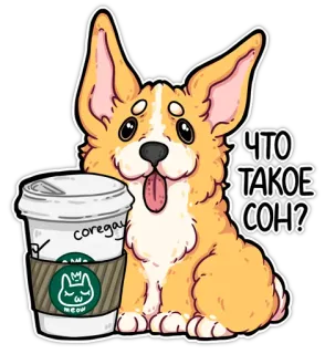 codedog cnsrd (@kotypic) whatsapp stickers
