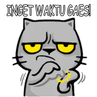 Coffee sticker telegram stickers