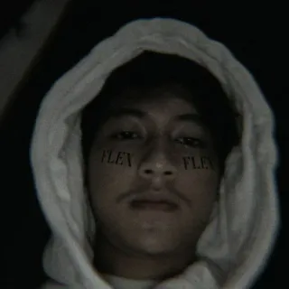 🎮 210fea42 FLEX FLEX 플렉스, 젊은 남자, 후드티, 셀카, 인물 사진, 얼굴 telegram sticker