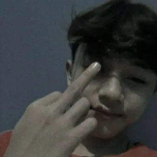 🎮 739f6b82 가운데 손가락, 모욕적인 제스처, 십대, 소년, 사람 telegram sticker