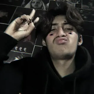 🎮 a313ad0d 사람, 가운데 손가락, 제스처, 셀카 telegram sticker