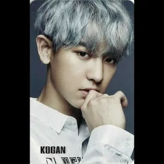 🔪 0c34bdf4 Kogan портрет, человек, знаменитость, седые волосы, азиат telegram sticker
