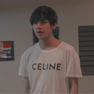 😏 1f0a23fb CELINE 사람, 남자, 티셔츠, 의류, 패션, 인물 사진, 유명인 telegram sticker