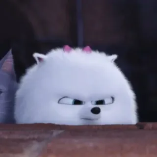 ❄️ 14703739 Gidget The Secret Life of Pets pies, biały, słodki, kreskówka, zwierzę, zwierzak whatsapp sticker