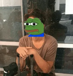 ☁ 9c1759b8 Pepe the Frog ペペザフロッグ, ミーム, インターネットミーム, カエル, 漫画のキャラクター, 旅行, スーツケース, 空港 telegram sticker