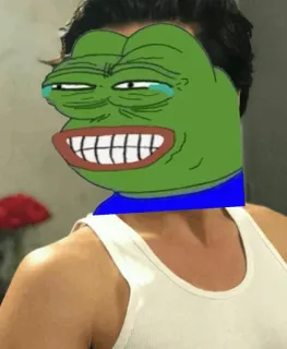 ☁ c4696d64 Pepe the Frog ミーム, ペペザフロッグ, インターネットミーム, ユーモア, 面白い telegram sticker